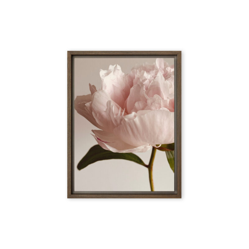 Soft Contour framed canvas art (front view)