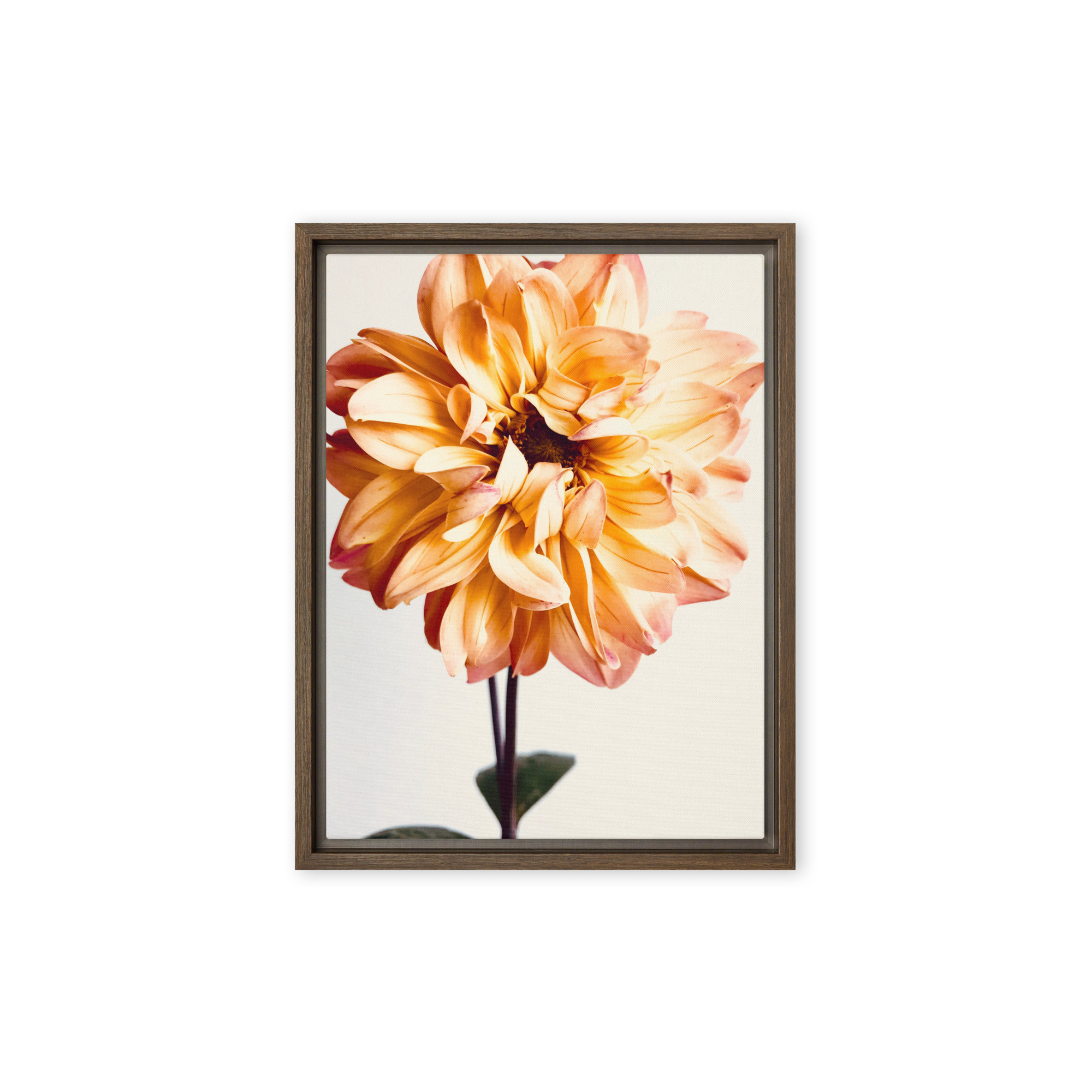 Amber Flame Amber Flame framed canvas art (front view)