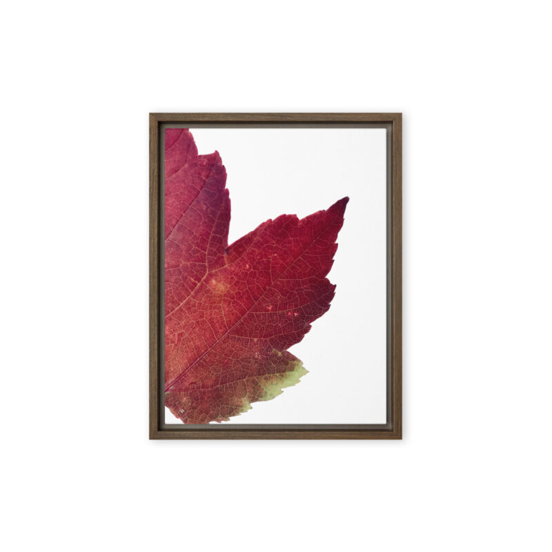 Divided II framed canvas art (front view)