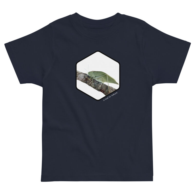 Katydid kids' t-shirt – Black (front view)
