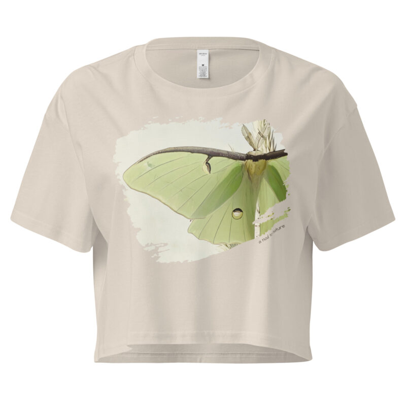 Luna Luna crop tee – Bone (front view)