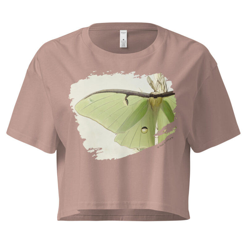 Luna Luna crop tee – Bone (front view)