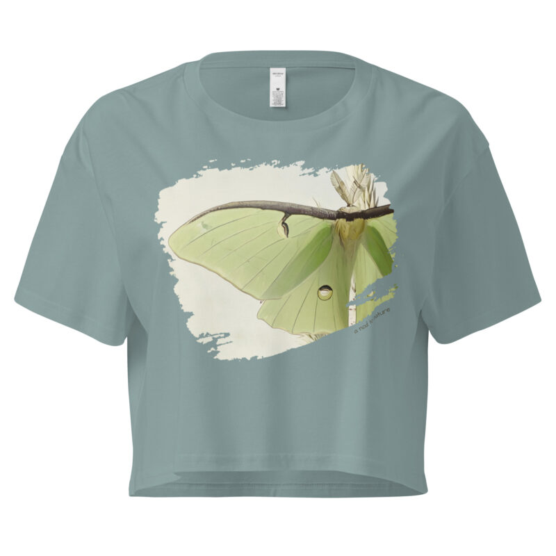 Luna Luna crop tee – Bone (front view)