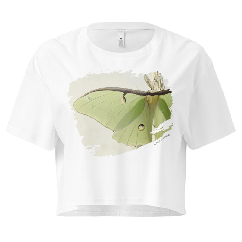 Luna crop tee – Bone (front view)