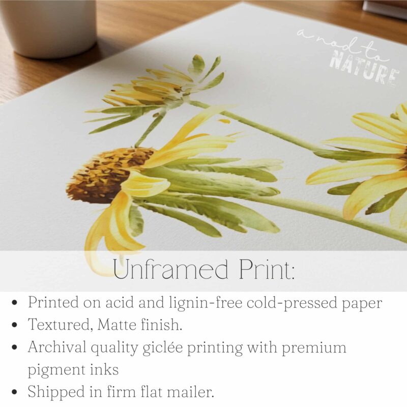 Golden Reach Golden Reach art prints