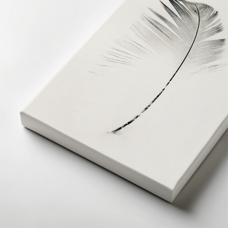 Lightfall Quill gallery wrapped canvas art