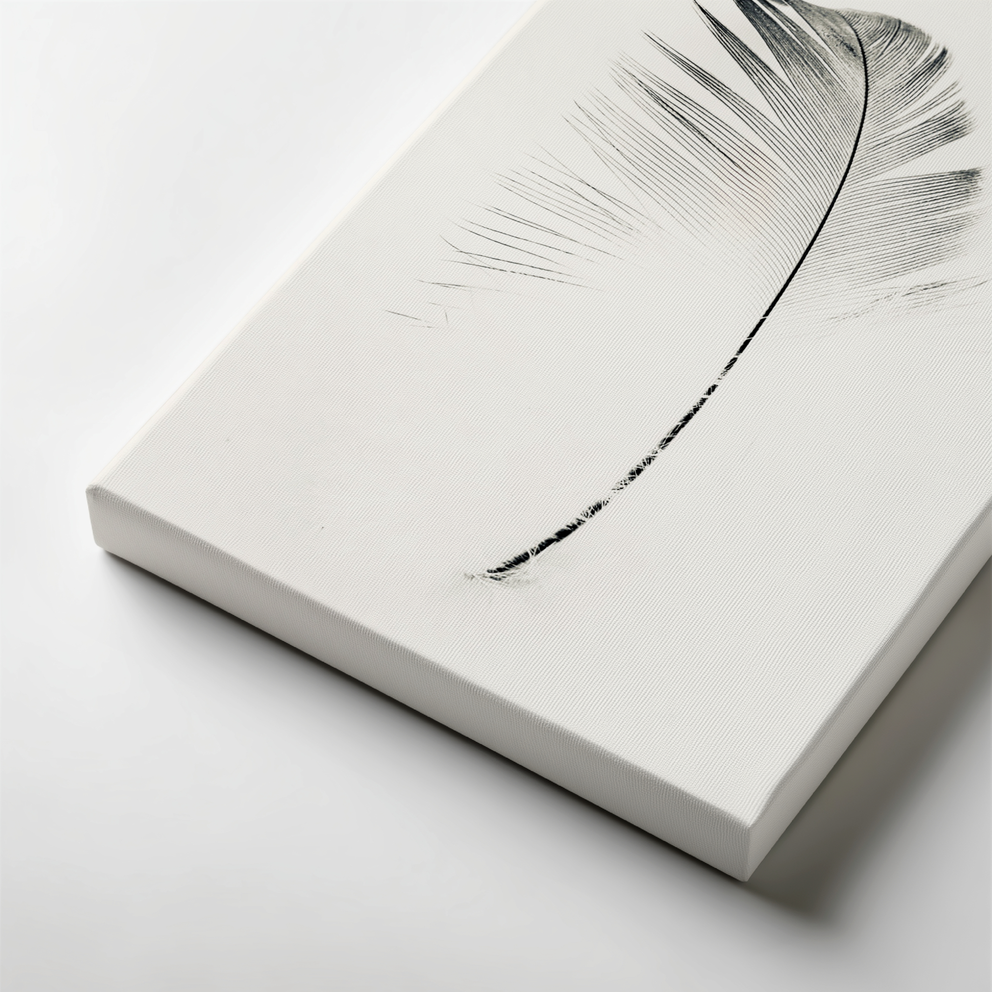 Lightfall Quill gallery wrapped canvas art