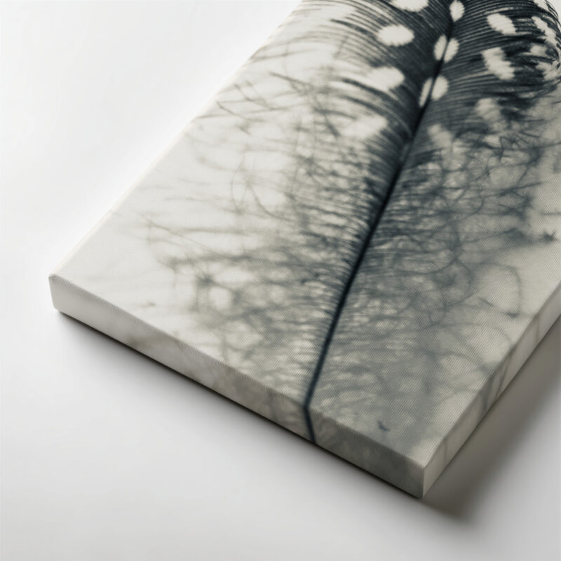 Misty Plume Misty Plume gallery wrapped canvas art