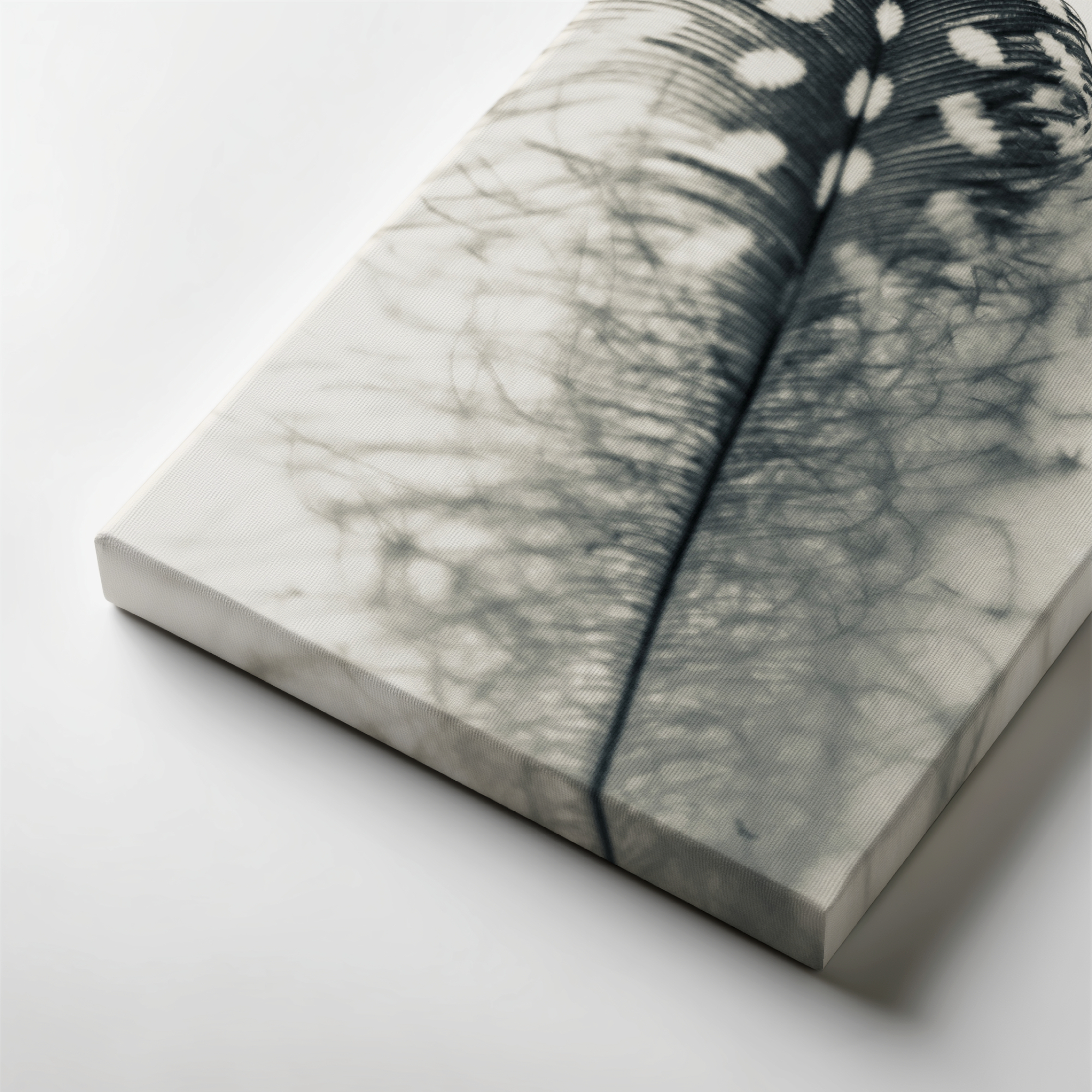 Misty Plume Misty Plume gallery wrapped canvas art