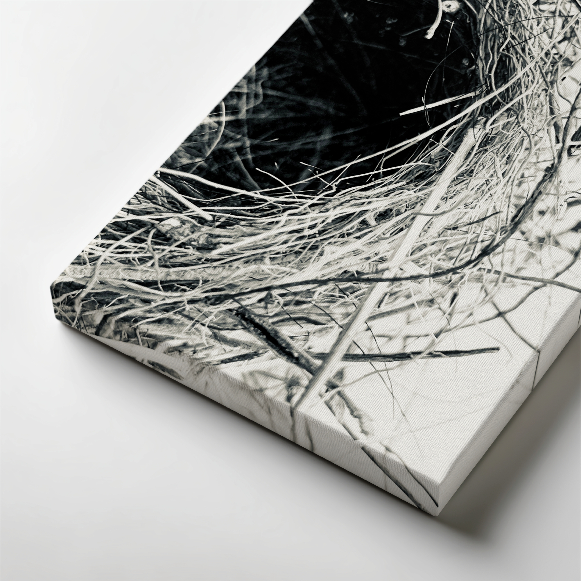 Sanctuary in Stillness: Nest in Monochrome Sanctuary in Stillness: Nest in Monochrome gallery wrapped canvas art