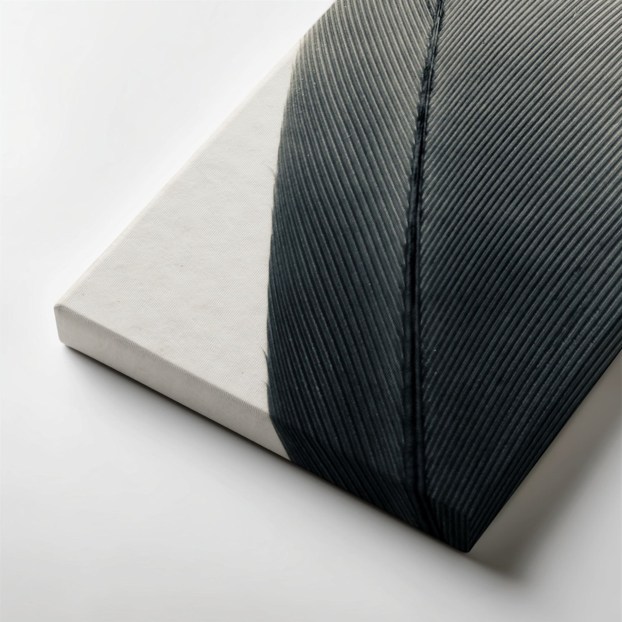 Vellum Feather gallery wrapped canvas art