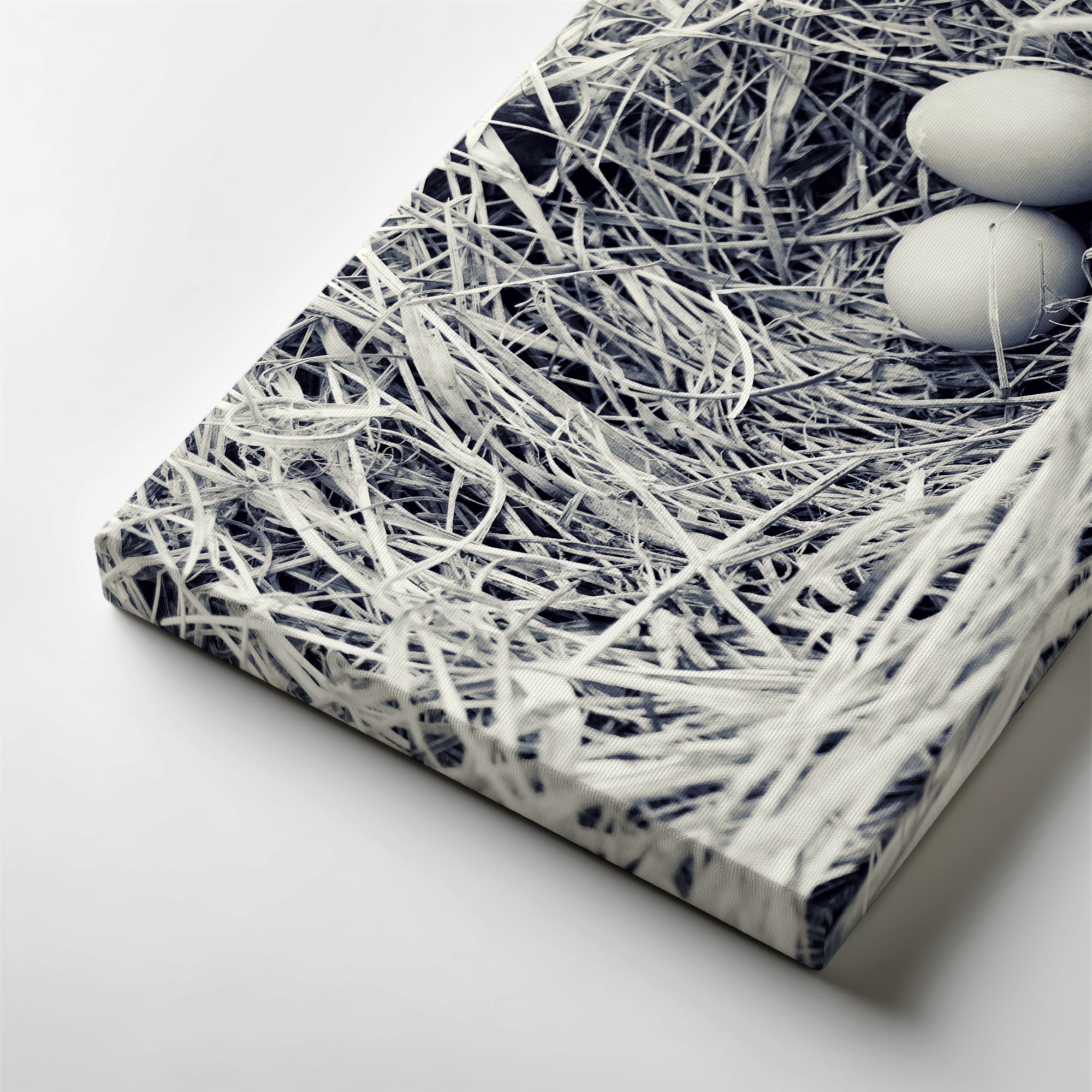 Nestled Promise: A Study in Simplicity gallery wrapped canvas art