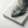 Shadowed Plume Shadowed Plume gallery wrapped canvas art