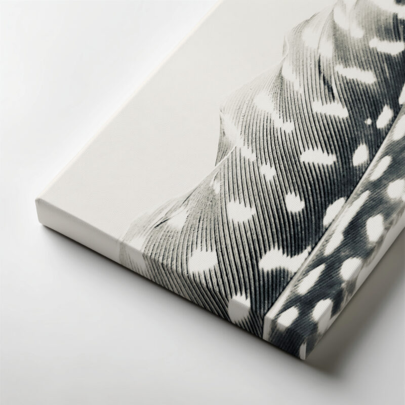 The Guinea's Mark gallery wrapped canvas art