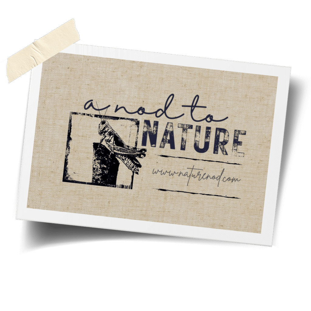 Journal anodtonature2opt