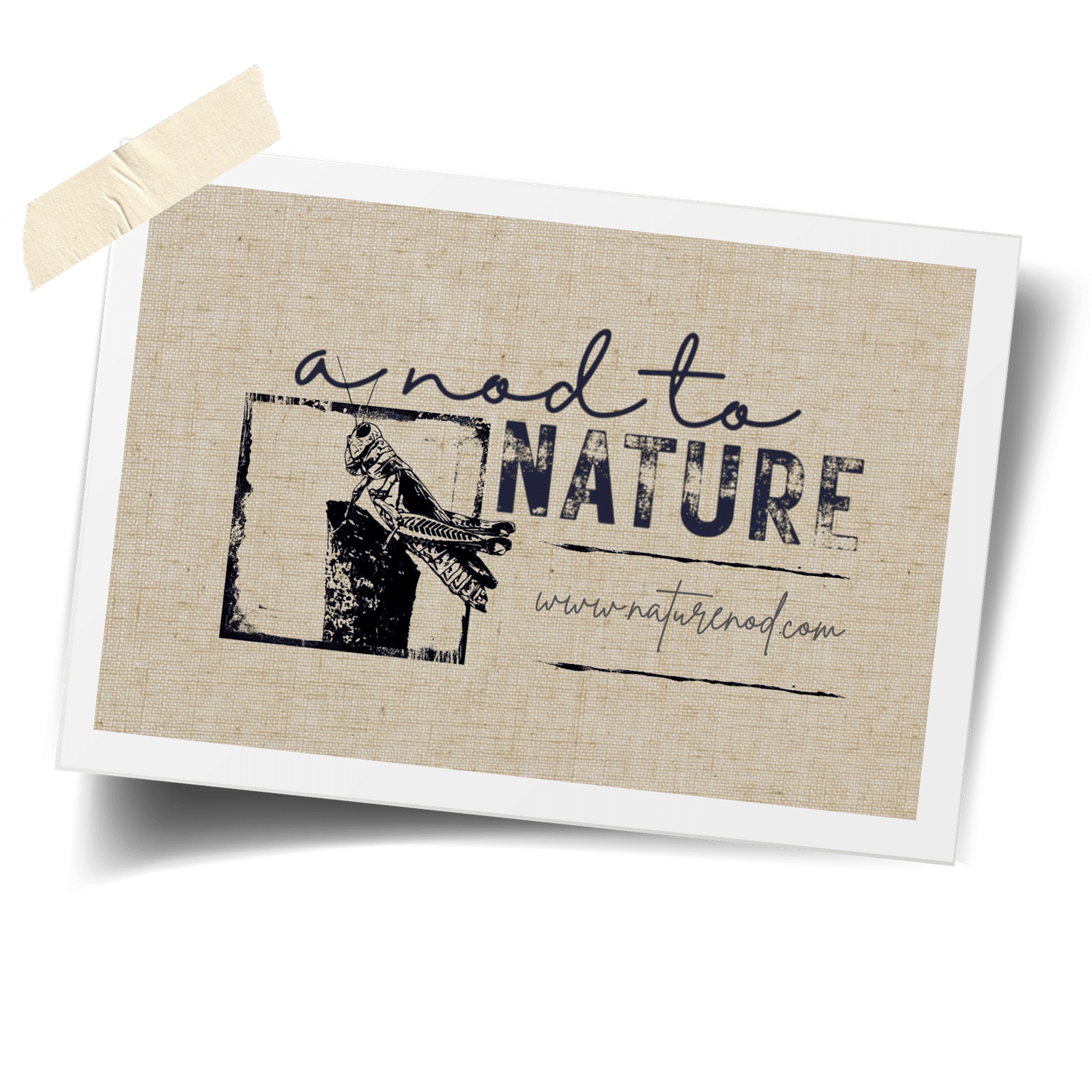 Journal anodtonature2opt