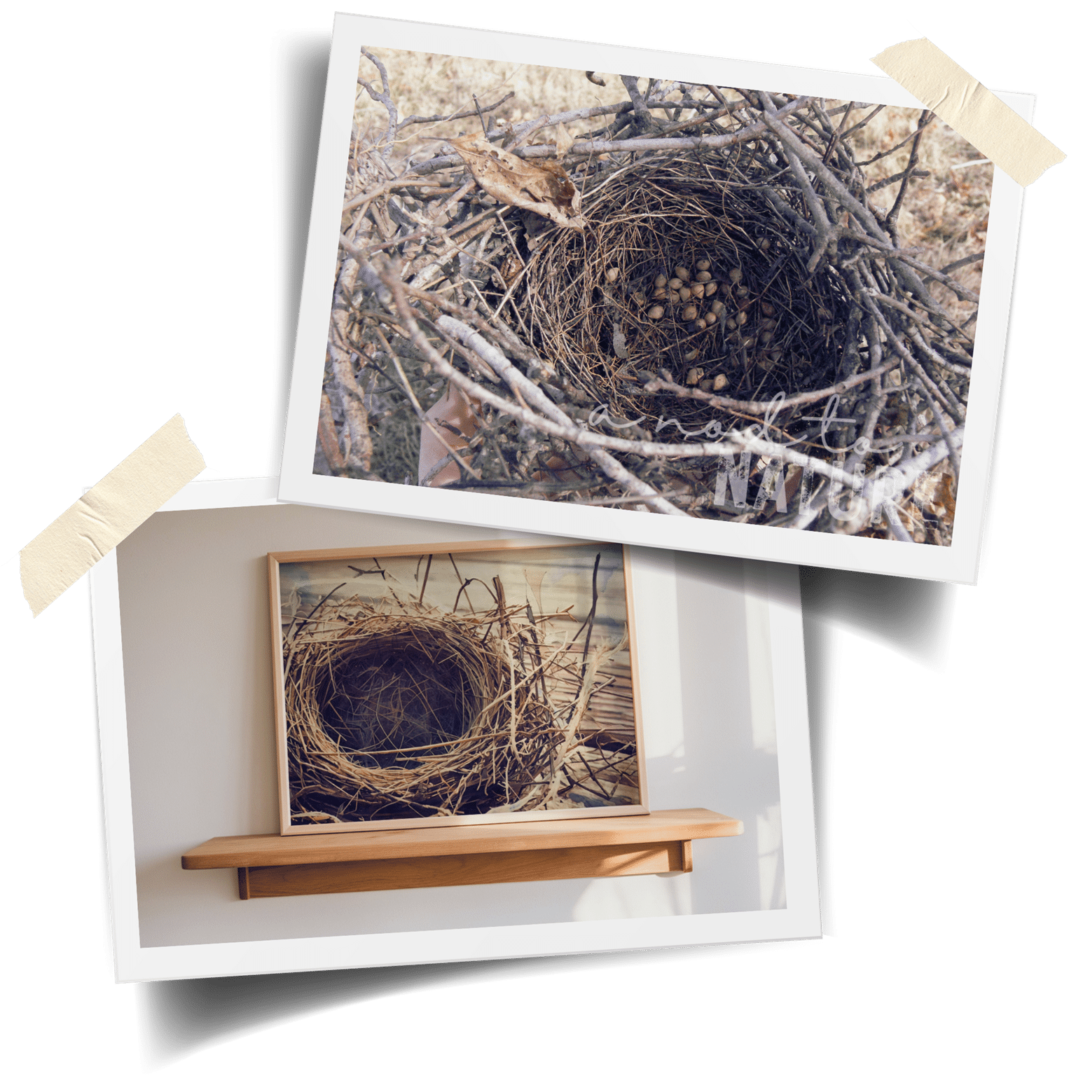 Journal nestledin2opt