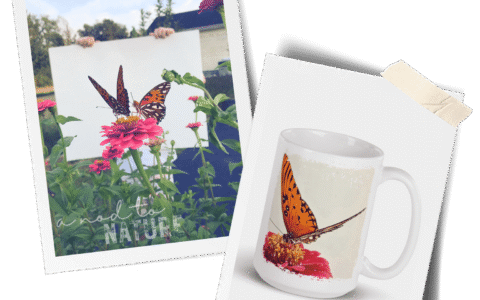 A Plethora of Pollinators