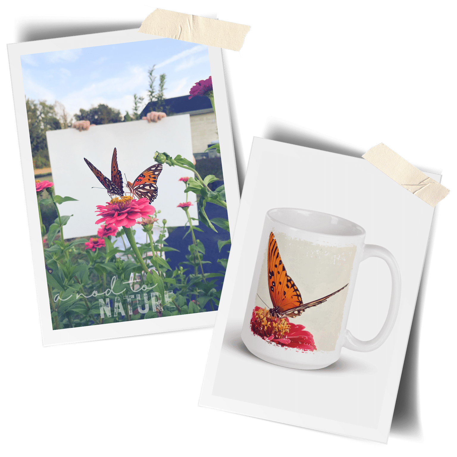 Journal plethoraofpollinators2opt