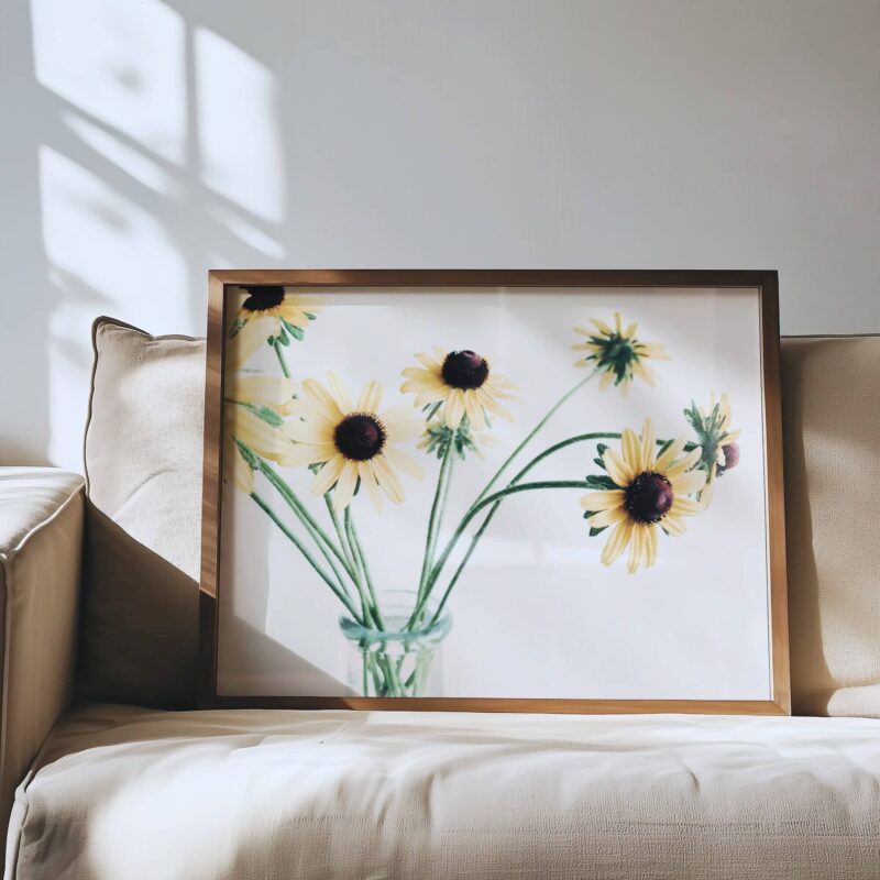 Bright Companions Bright Companions fine art photography