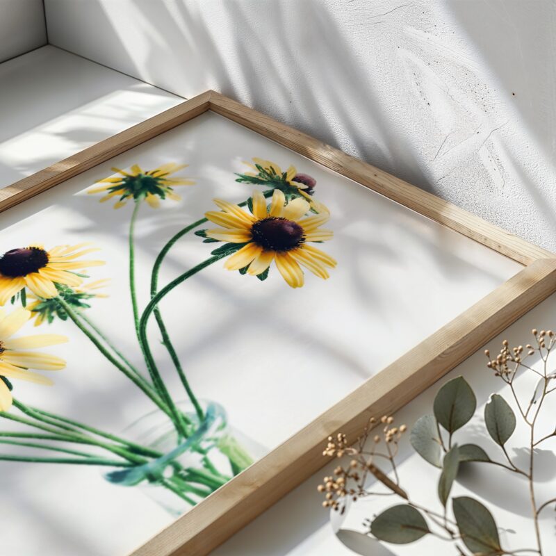 Bright Companions Bright Companions fine art photography