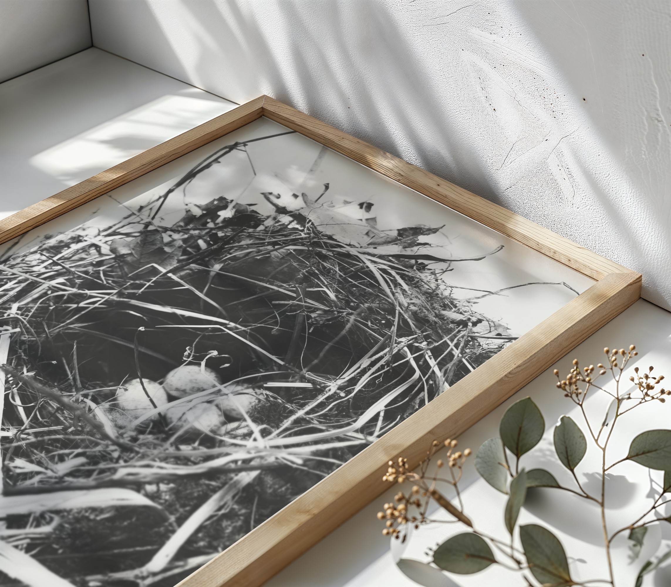 Gentle Shelter Gentle Shelter fine art photography