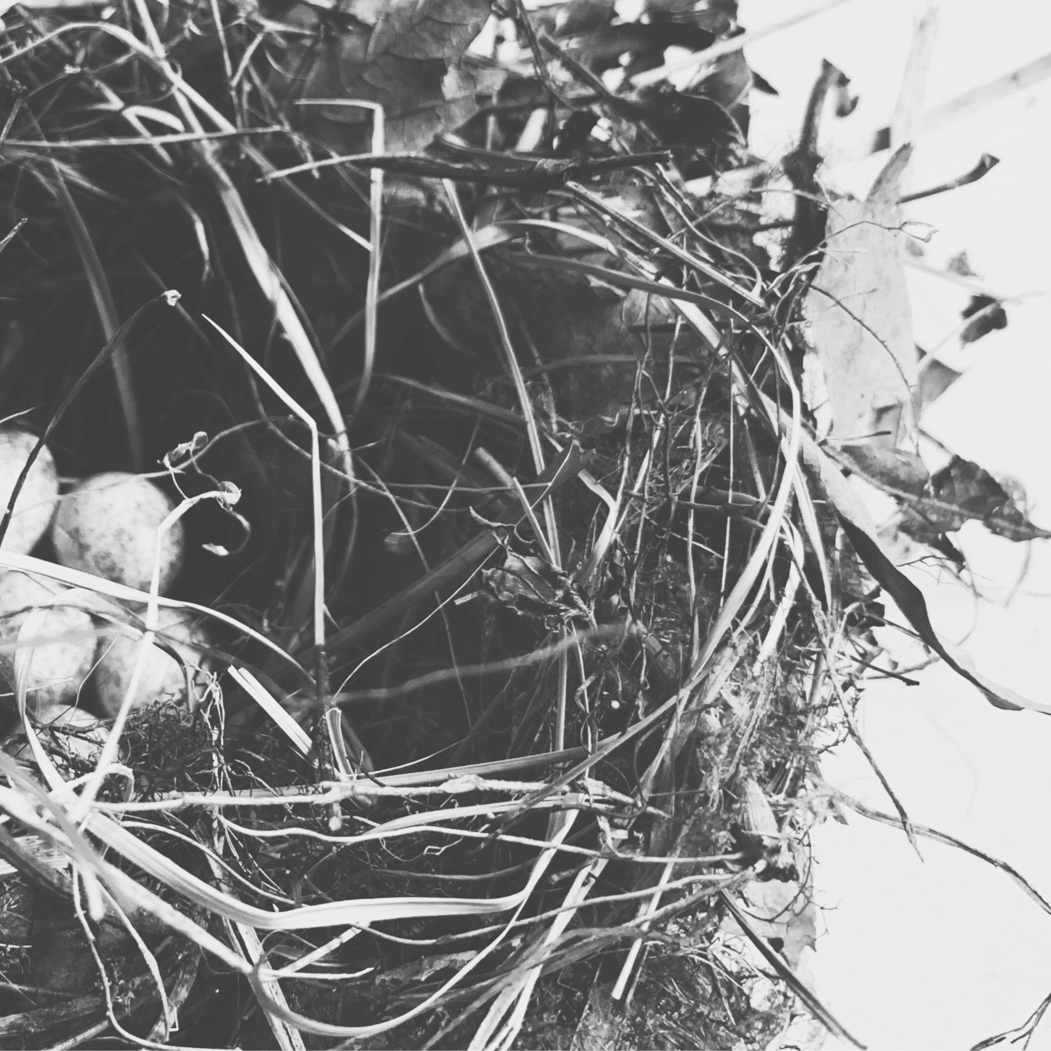 Gentle Shelter Gentle Shelter fine art photography