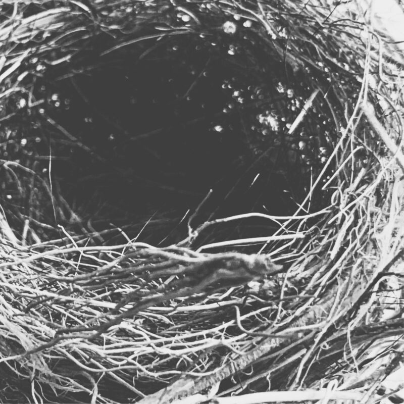 Circle of Rest Circle of Rest fine art photography