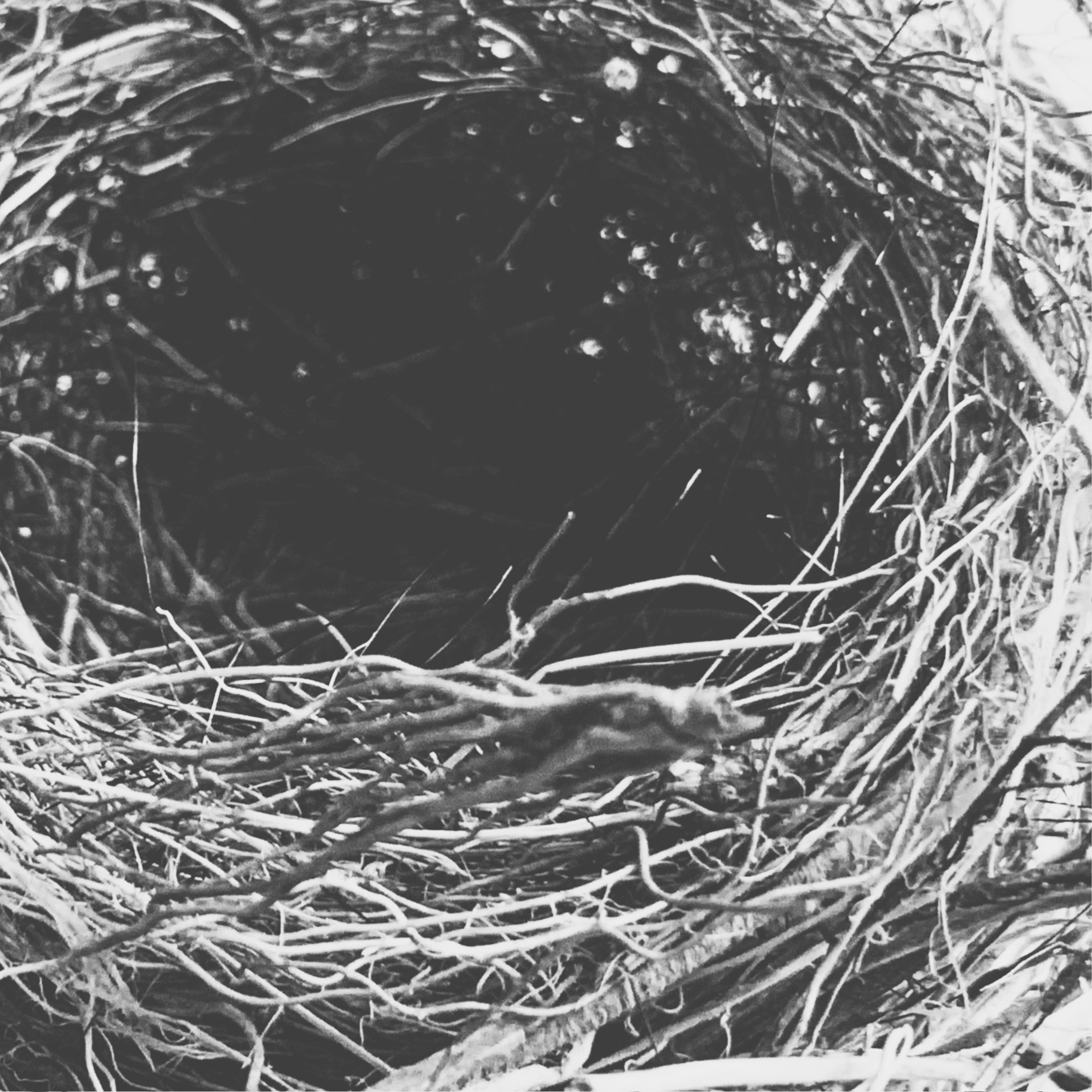 Circle of Rest Circle of Rest fine art photography