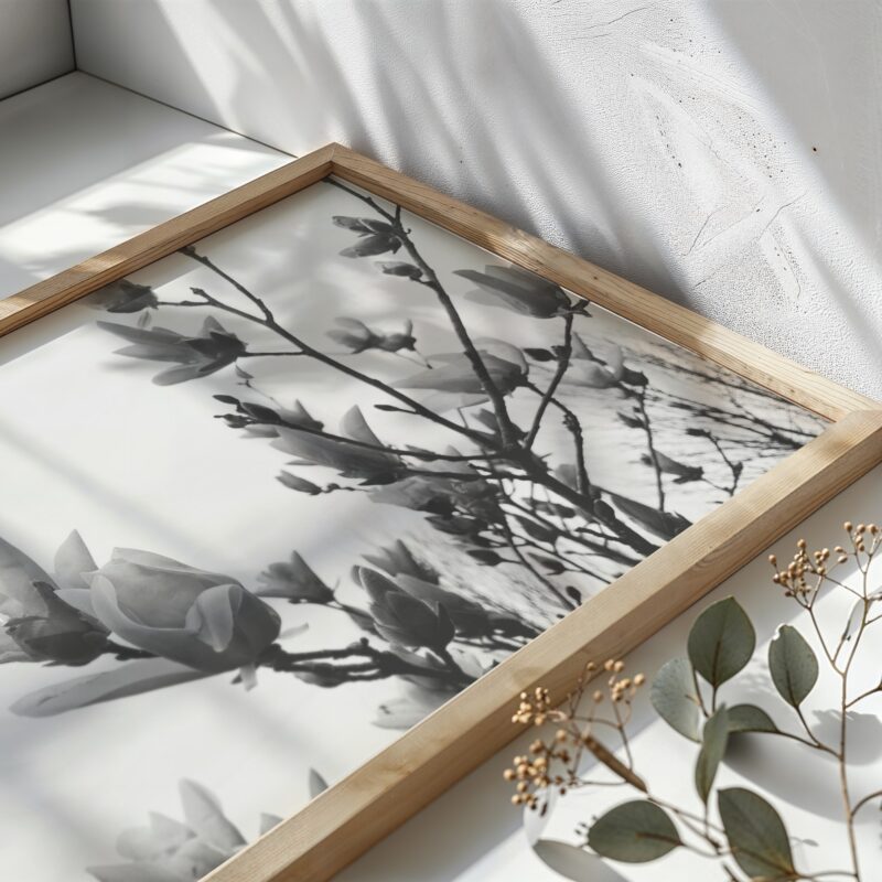 Gentle Unfolding Gentle Unfolding fine art photography