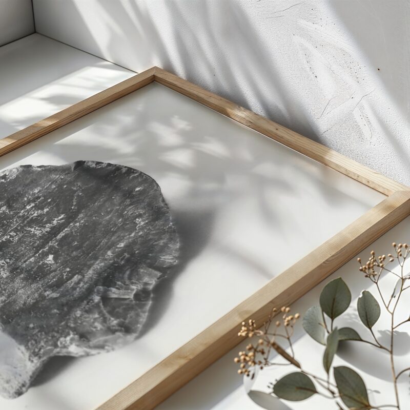 Cut Stillness Cut Stillness fine art photography