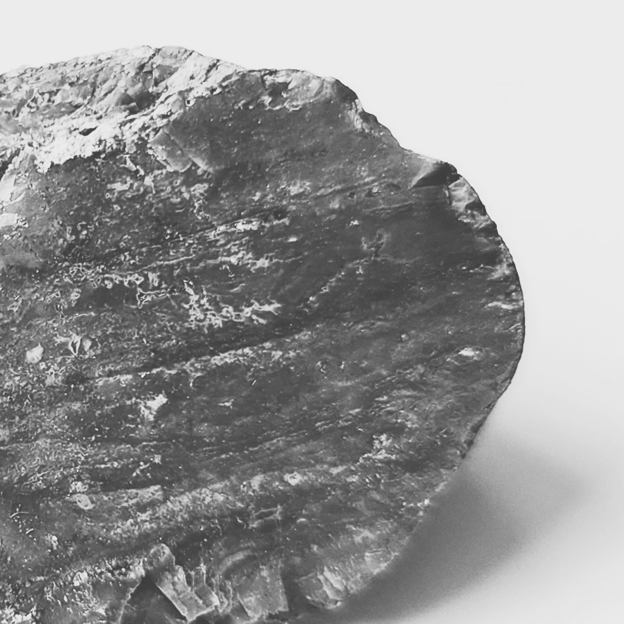 Cut Stillness fine art photography