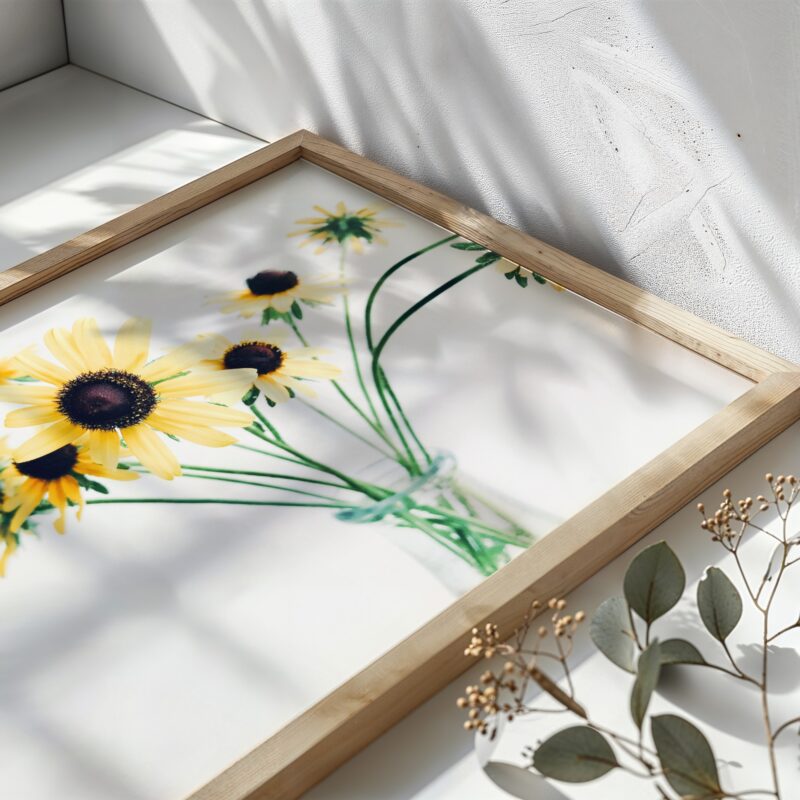 Summer Cluster Summer Cluster fine art photography