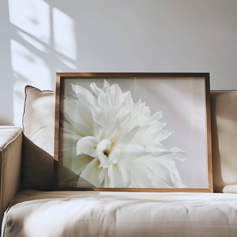 Morning Veil Morning Veil fine art photography