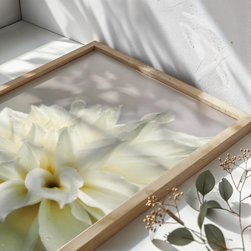 Morning Veil Morning Veil fine art photography