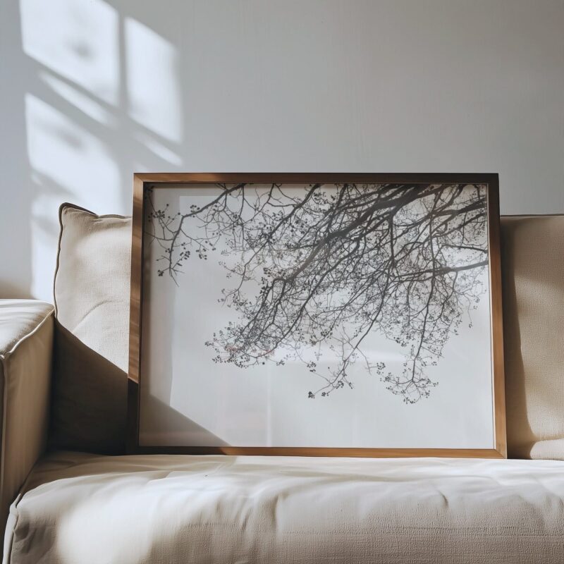 Spanning Stillness fine art photography