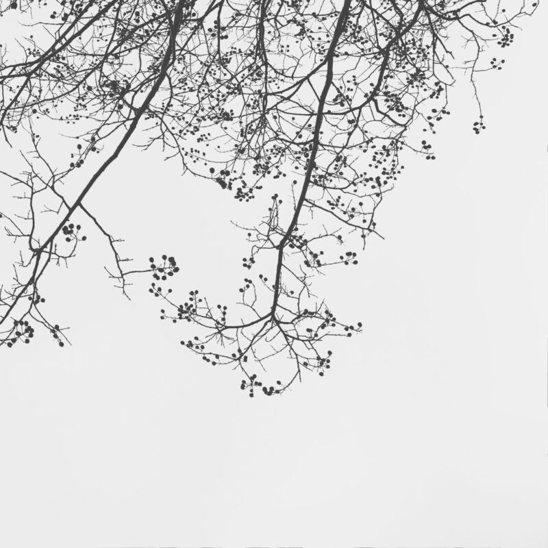 Spanning Stillness Spanning Stillness fine art photography