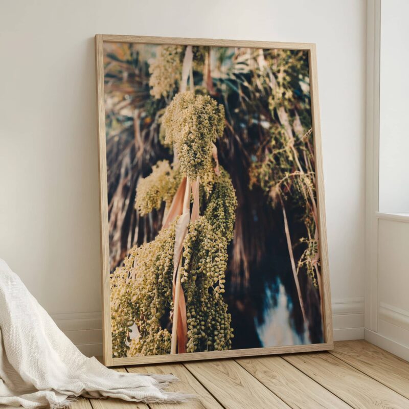 Verdant Cascade fine art photography