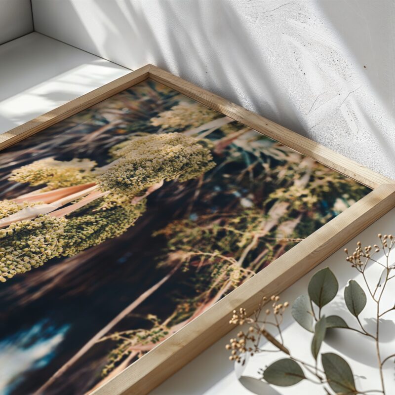 Verdant Cascade fine art photography