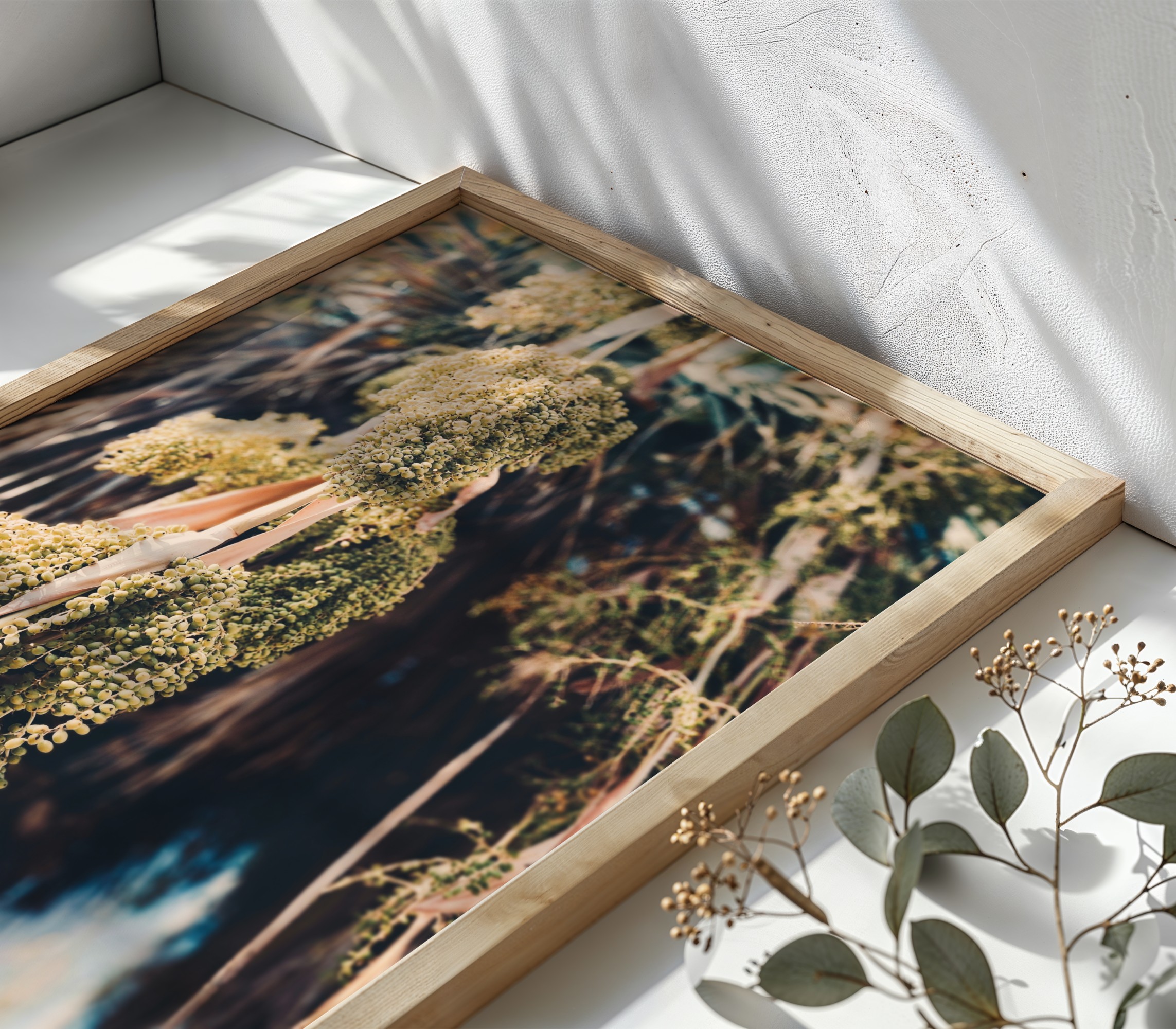 Palm Studies Palm Studies fine art photography