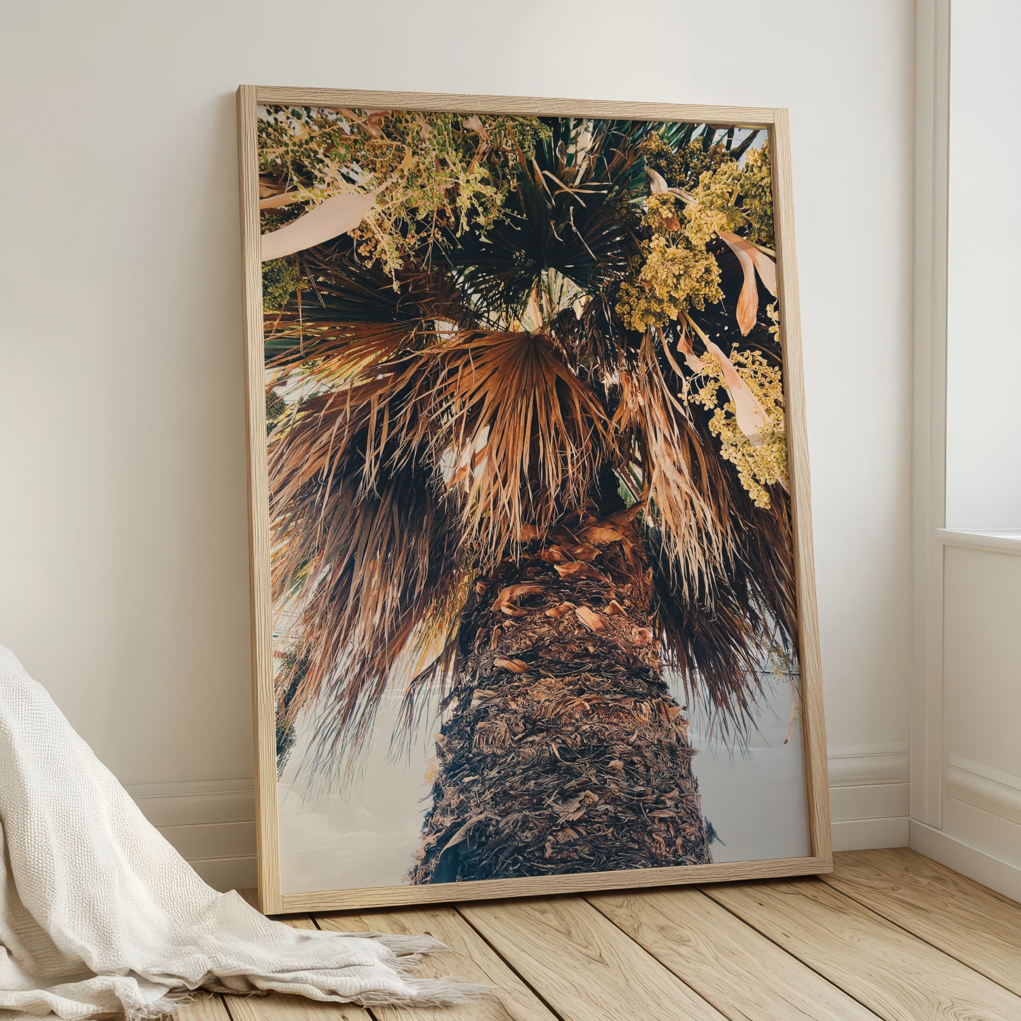 Fronds Ascending fine art photography