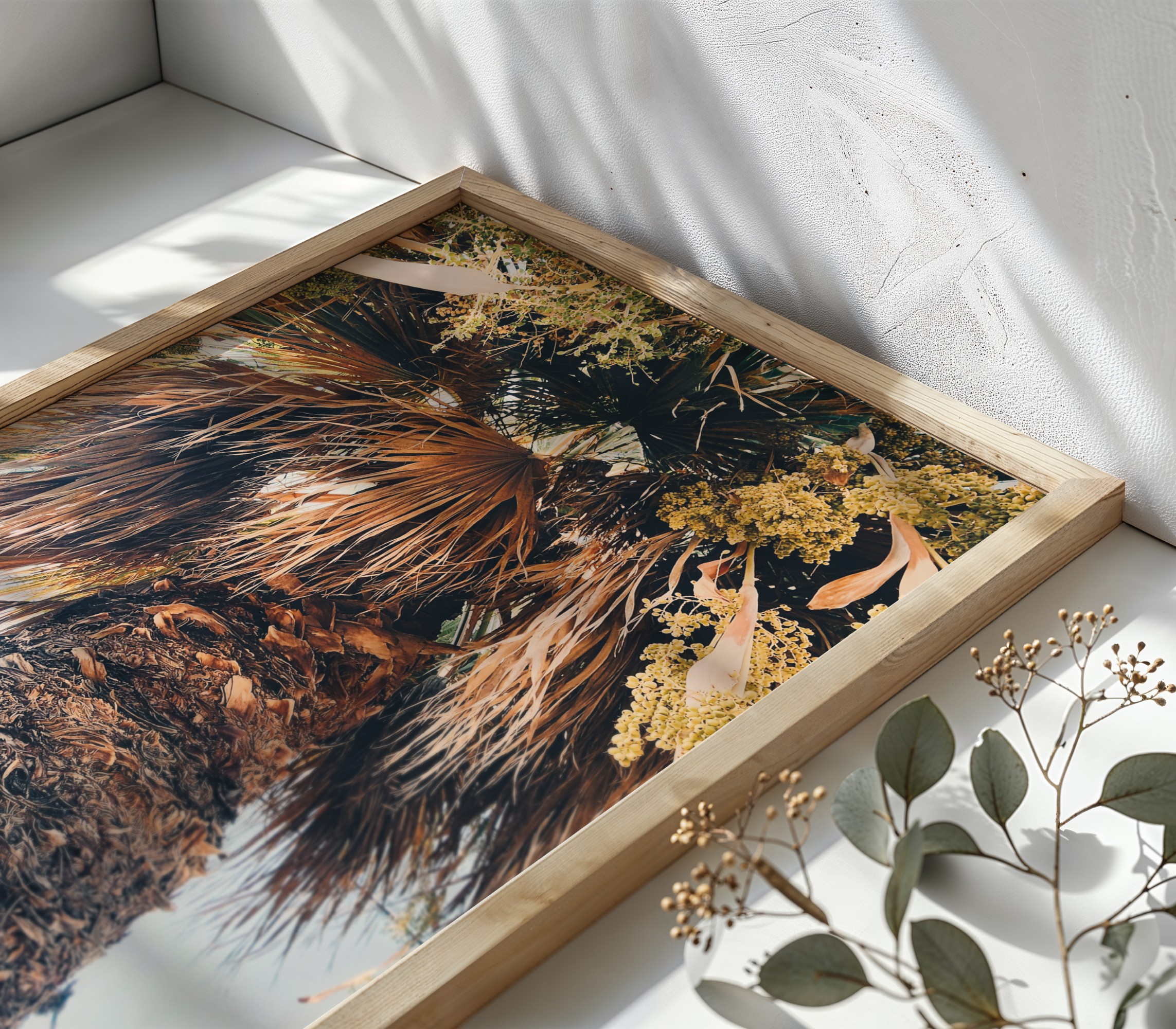 Fronds Ascending fine art photography