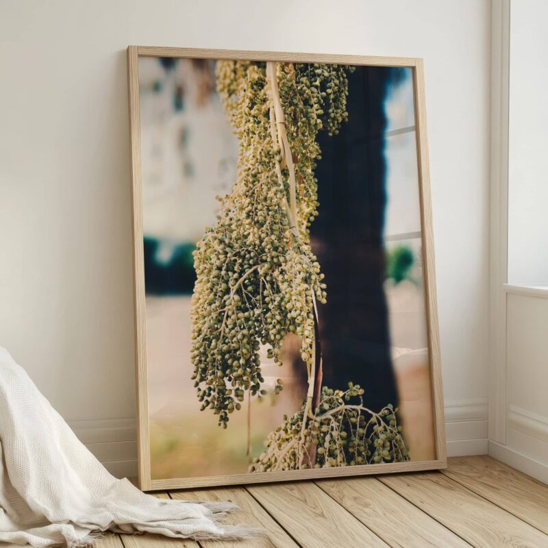 Still Bearing fine art photography