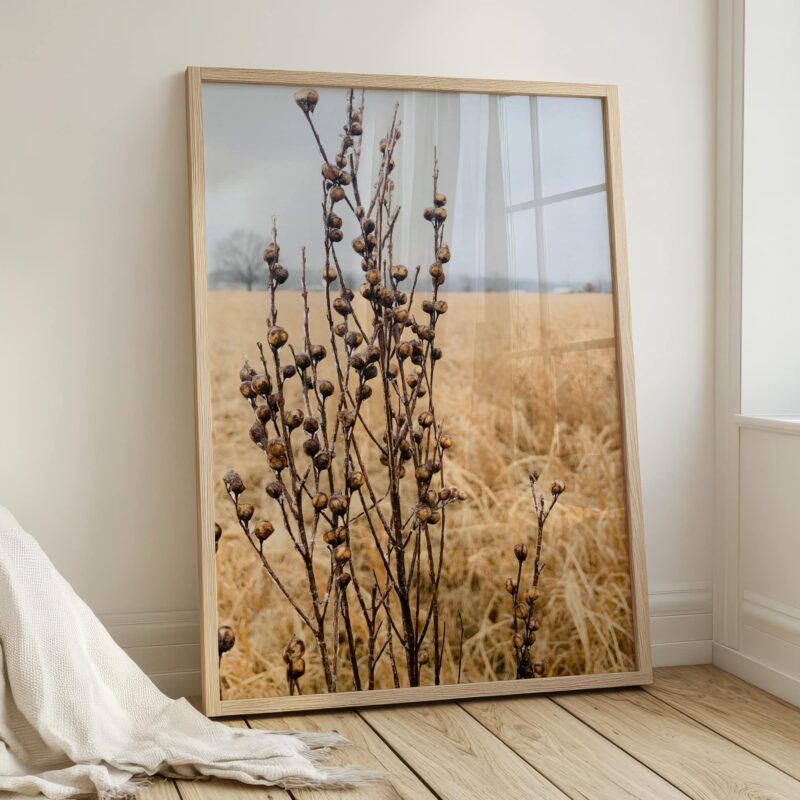 Field Reliquary fine art photography