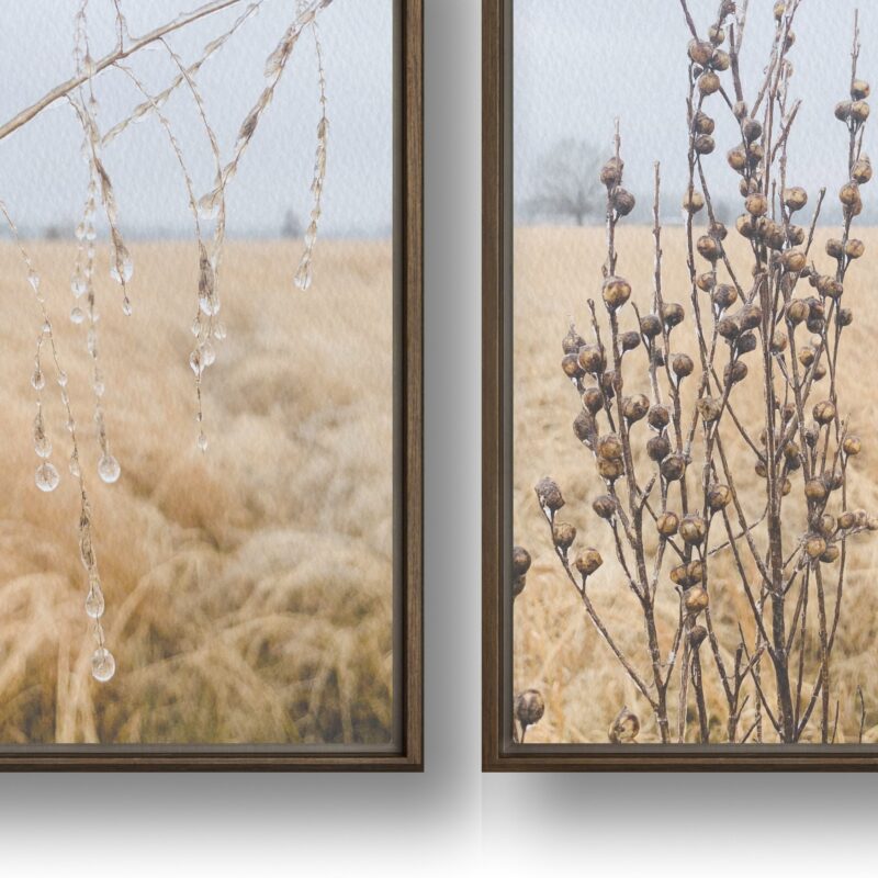Winter Field Study framed canvas art