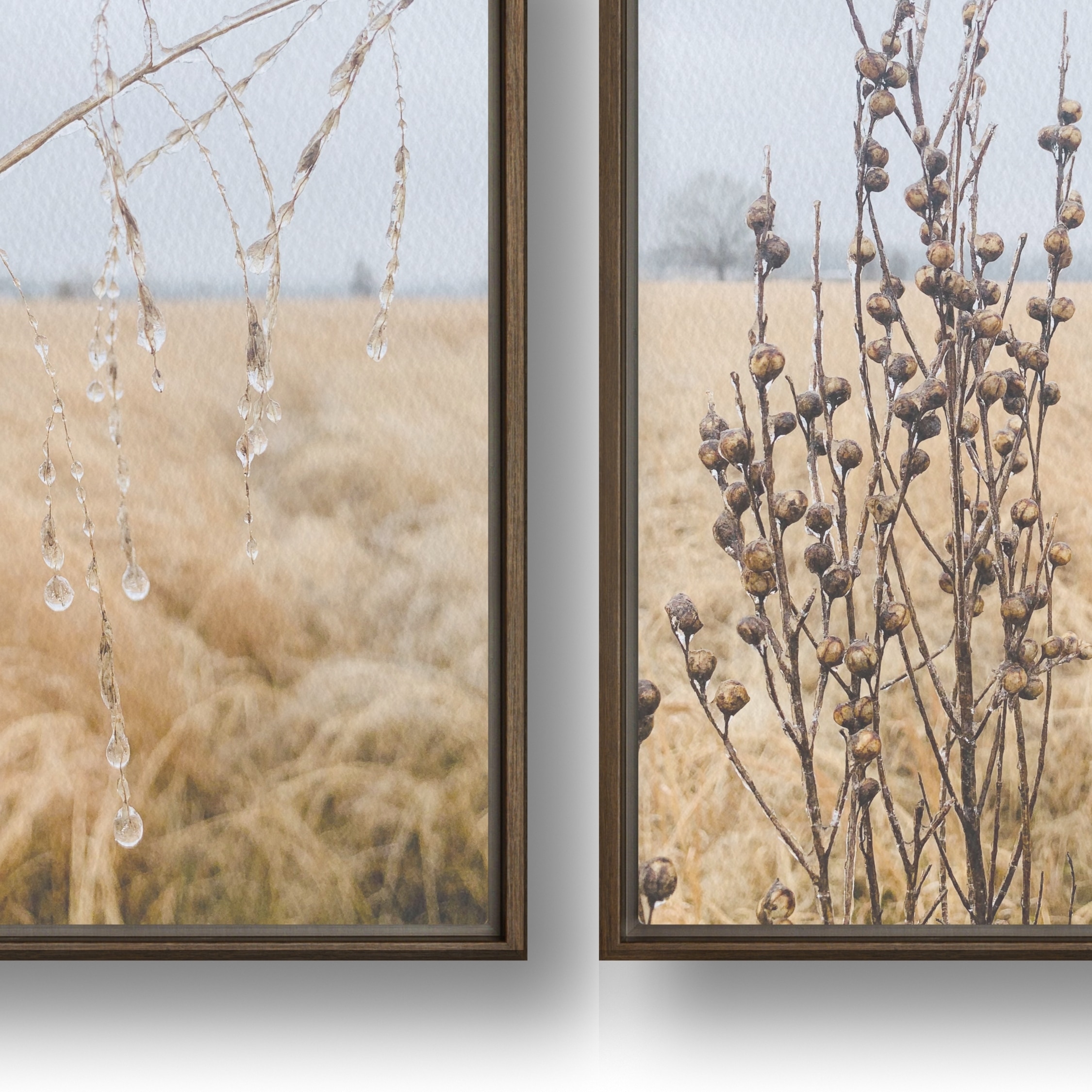 Winter Field Study framed canvas art