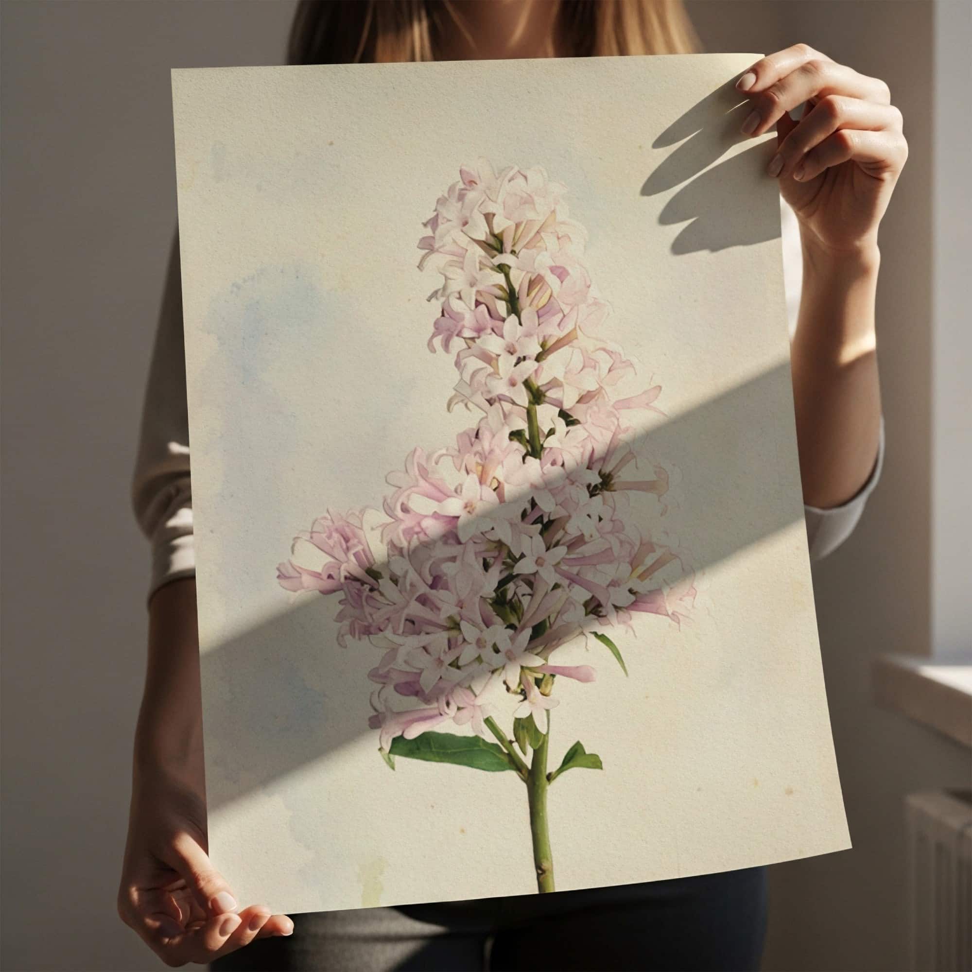 Spring Column art prints