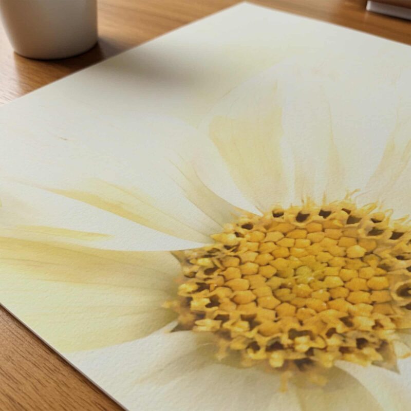 Lemon Light art prints