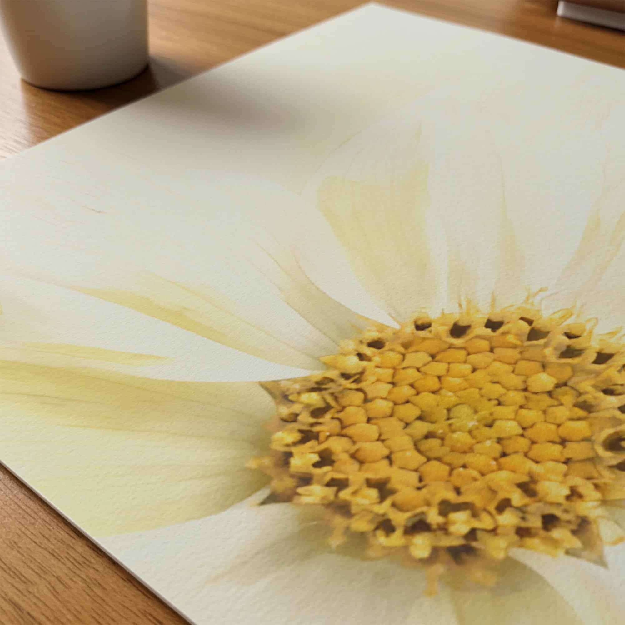 Lemon Light art prints