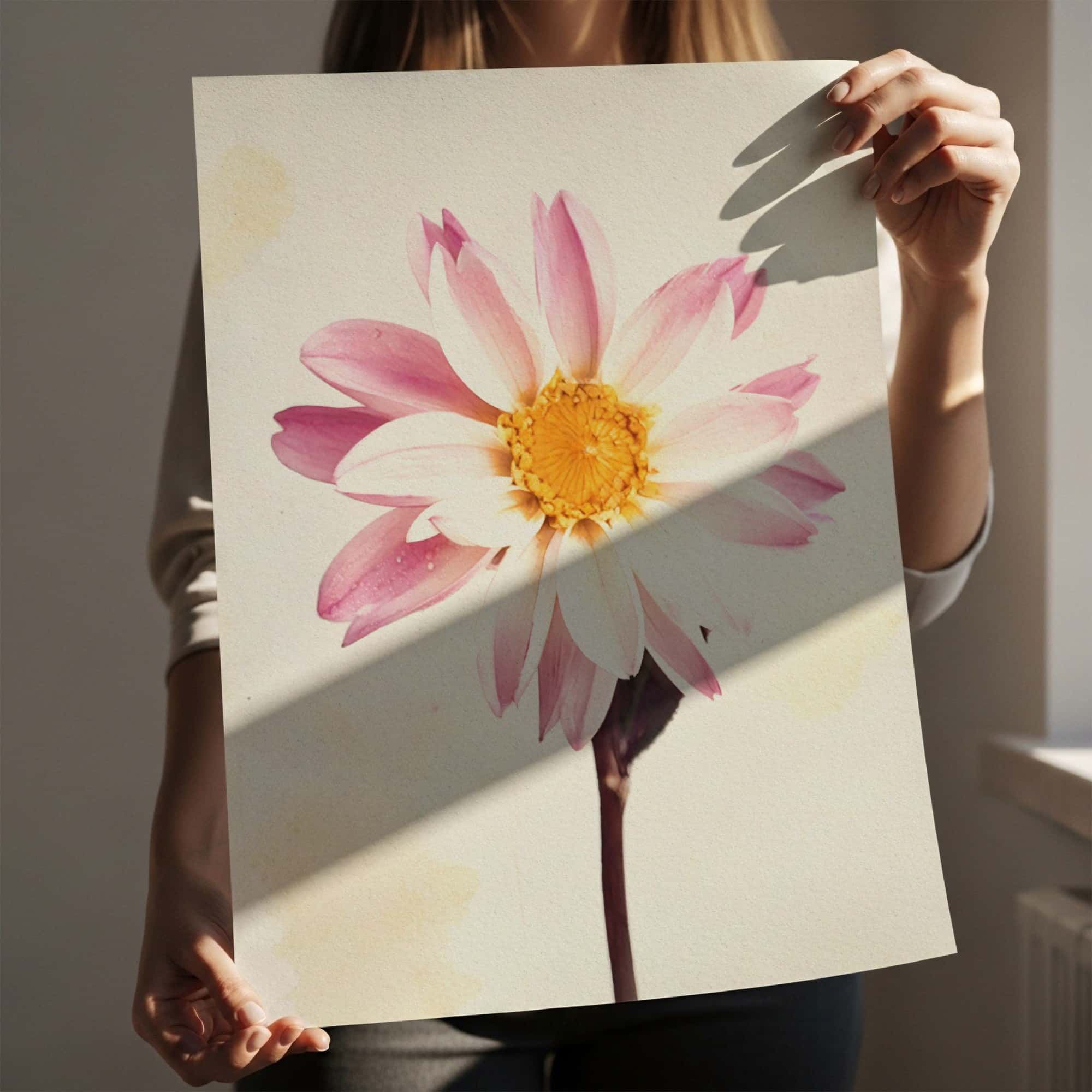 Day Petal art prints